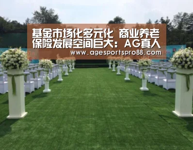 基金市场化多元化 商业养老保险发展空间巨大:AG真人(图2) AG入口