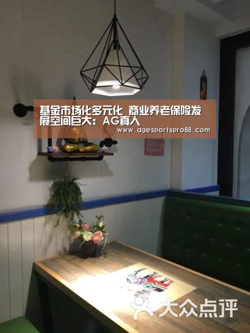 基金市场化多元化 商业养老保险发展空间巨大:AG真人(图1) AG真人