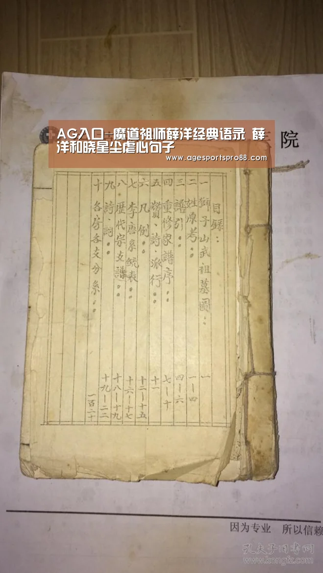AG入口-魔道祖师薛洋经典语录 薛洋和晓星尘虐心句子(图1) AG真人