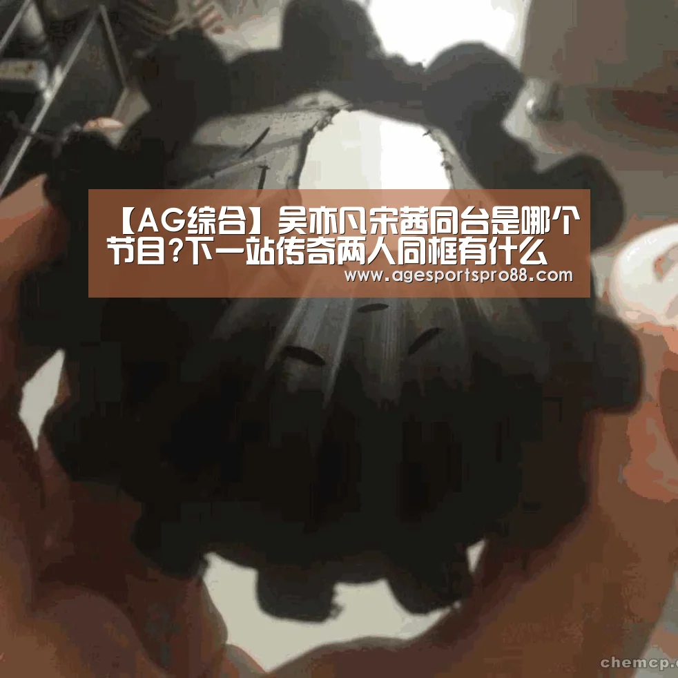 【AG综合】吴亦凡宋茜同台是哪个节目?下一站传奇两人同框有什么看点(图1) AG真人