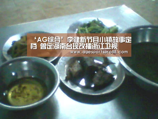 ‘AG综合’李健新节目小镇故事定档 曾定湖南台现改播浙江卫视(图1) AG入口