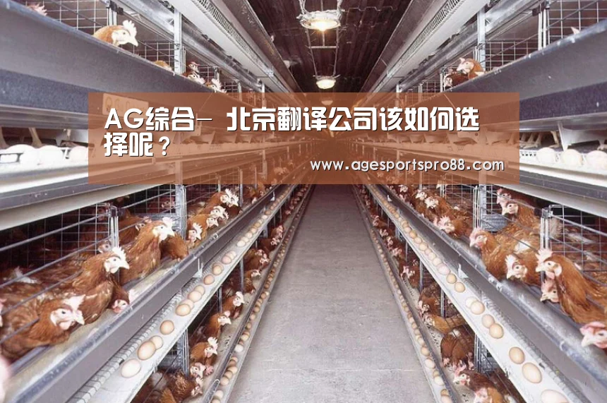 AG综合-
北京翻译公司该如何选择呢?(图1) AG综合