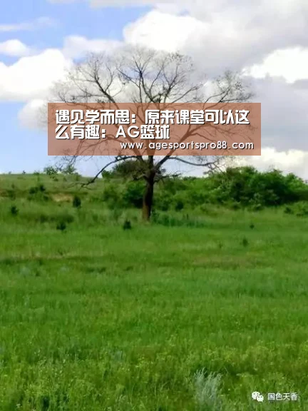 AG综合