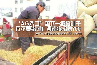 ‘AG入口’想下一级培训千万不要错过!河南将招募900名选调生(图2) AG篮球