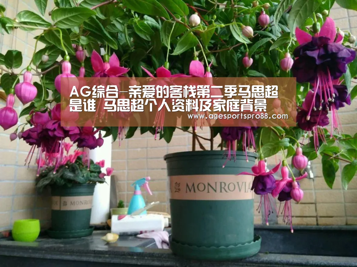 AG篮球