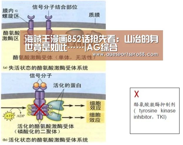 AG篮球