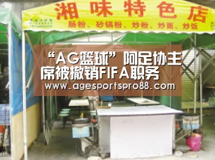 AG篮球