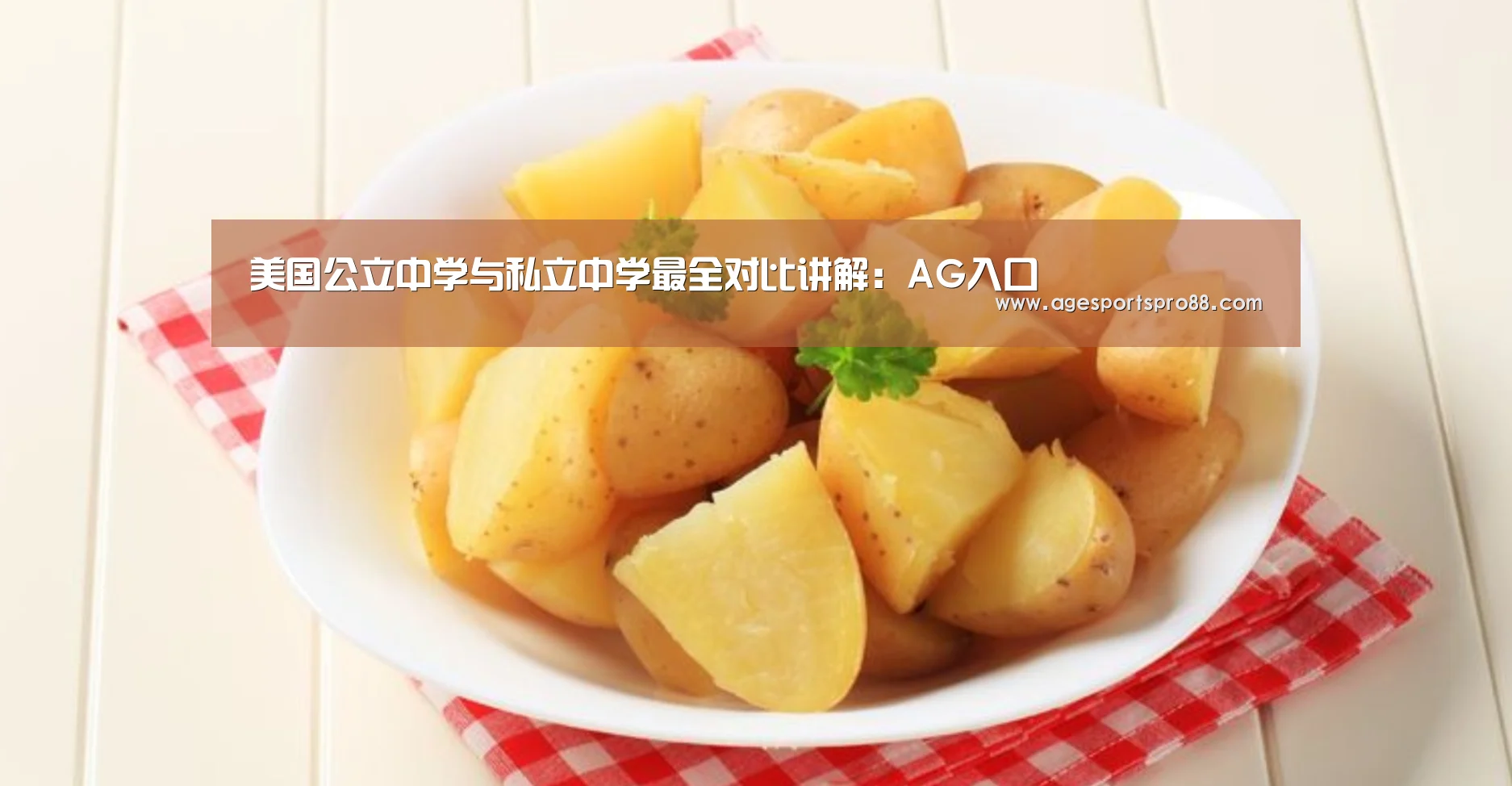美国公立中学与私立中学最全对比讲解:AG入口(图4) AG篮球